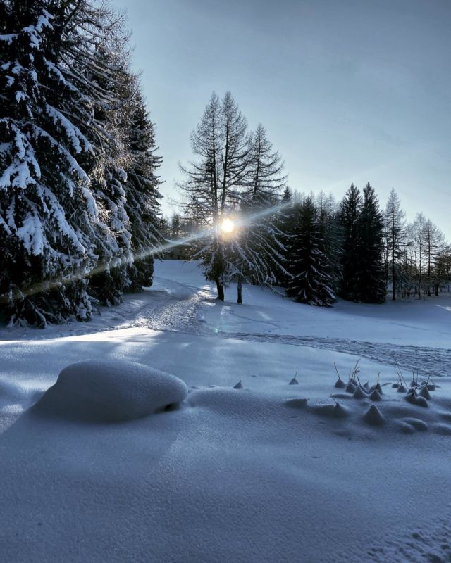 the luxury coliving thought by wanderful life is the perfect combo to explore your vacation spot, meet and have a crazy standing!
#wanderfullife #lesarcs #coliving #colivingtouristic #share #travel #lifestyle #community #holidays #weekend